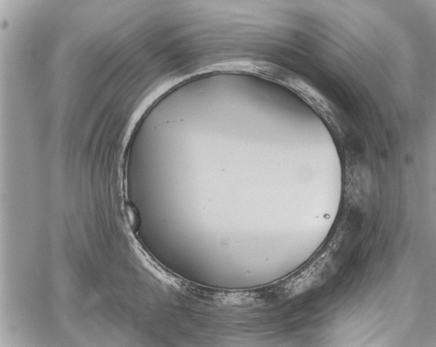 X0000059820808200510241354