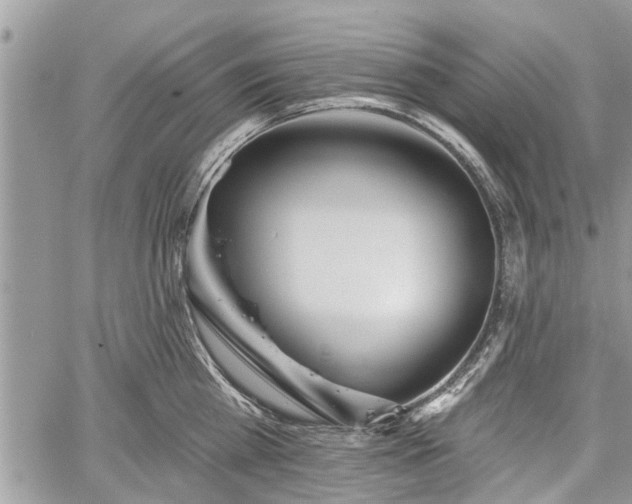 X0000059820809200510241354