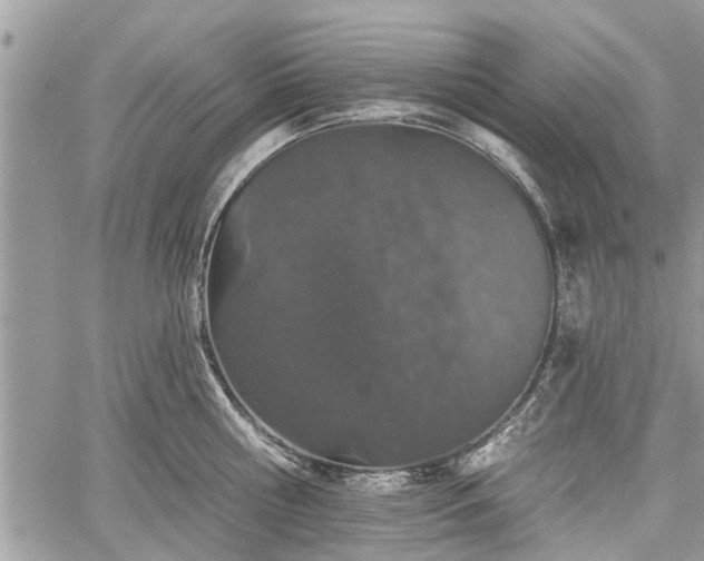 X0000059820810200510241354