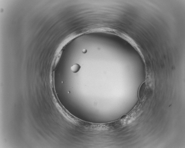 X0000059820811200510241354