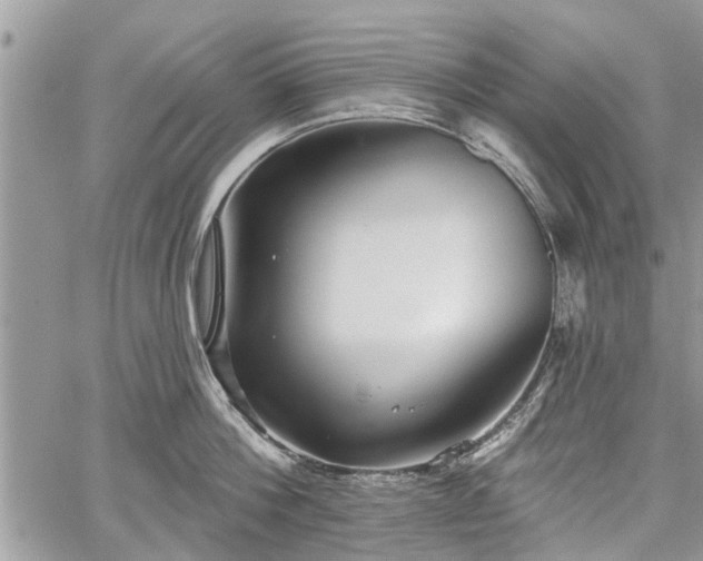 X0000059820812200510241354