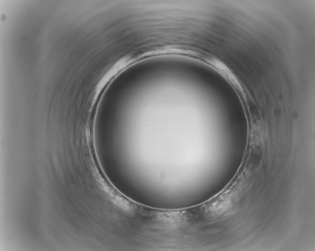 X0000059820813200510241354