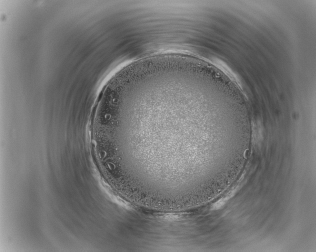 X0000059820814200510241354