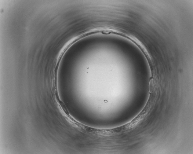 X0000059820815200510241354