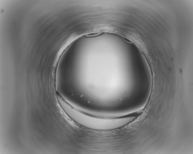 X0000059820816200510241354