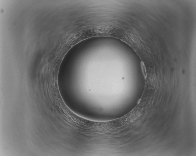 X0000059820817200510241353