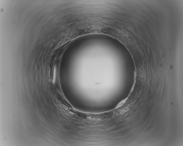 X0000059820818200510241353