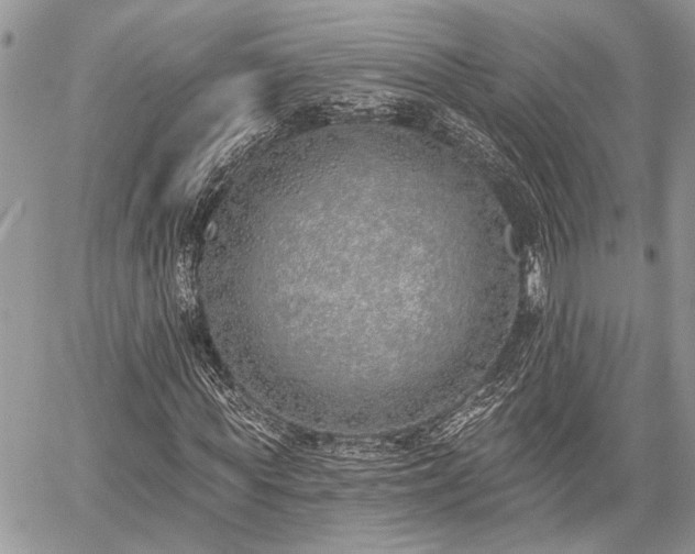 X0000059820819200510241353