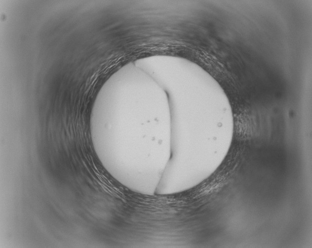 X0000059820820200510241353