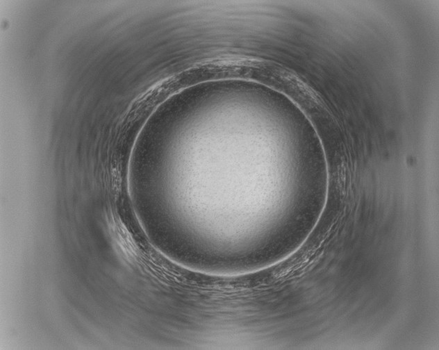 X0000059820821200510241353