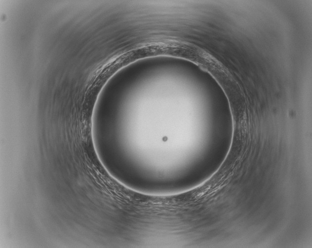 X0000059820822200510241353