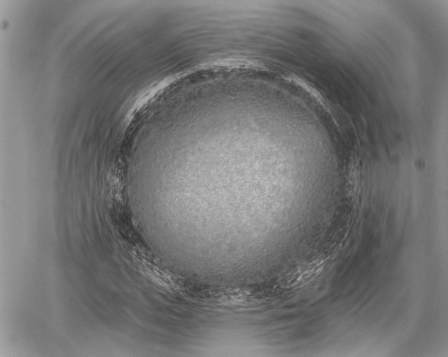 X0000059820823200510241353