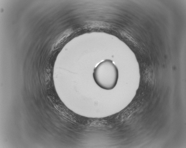 X0000059820824200510241353