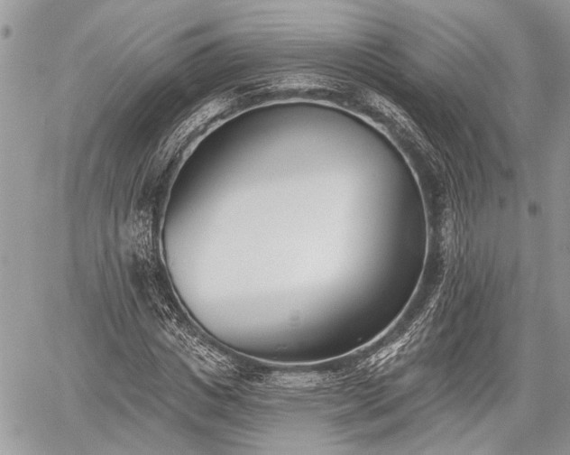 X0000059820825200510241353