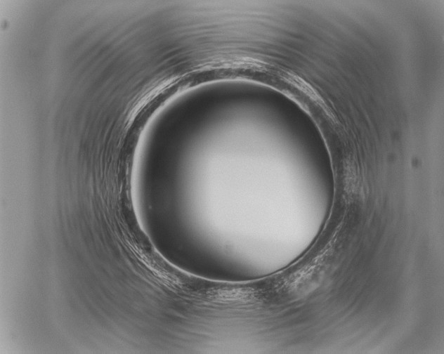 X0000059820826200510241353