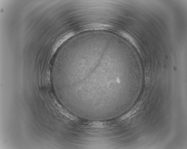 X0000059820827200510241353