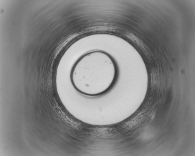 X0000059820828200510241353