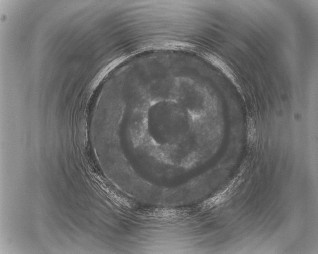 X0000059820829200510241353