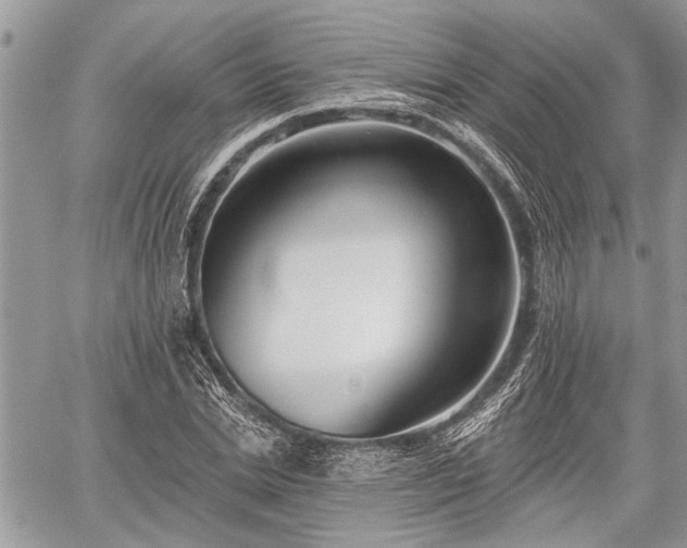 X0000059820830200510241353