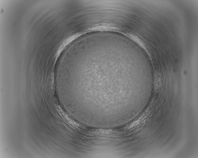 X0000059820831200510241353