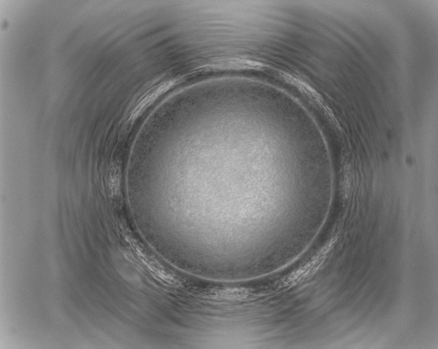 X0000059820833200510241353