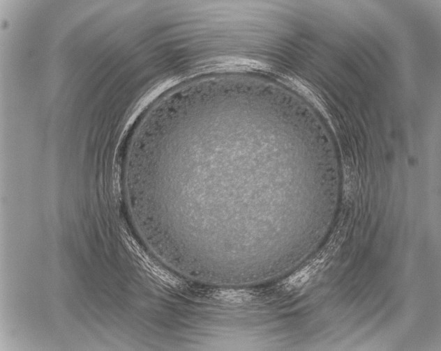 X0000059820835200510241353