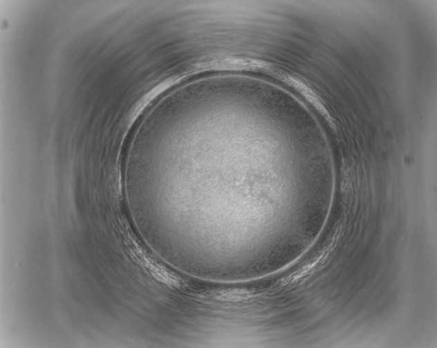 X0000059820837200510241353