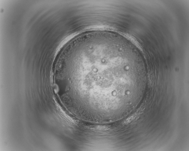 X0000059820839200510241353