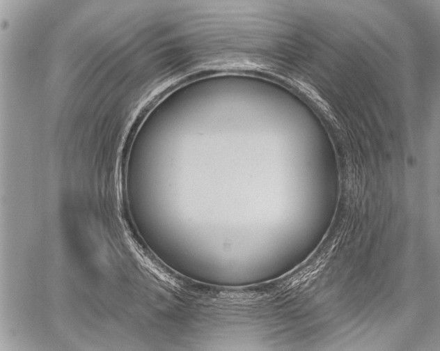 X0000059820840200510241353