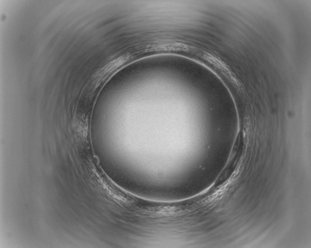 X0000059820841200510241353