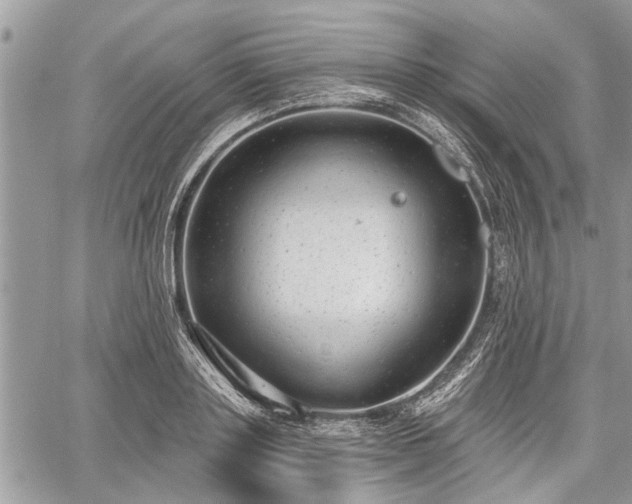 X0000059820843200510241353