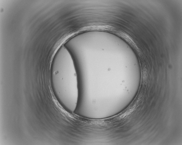 X0000059820844200510241353