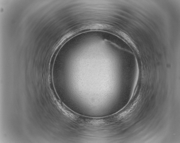 X0000059820845200510241353