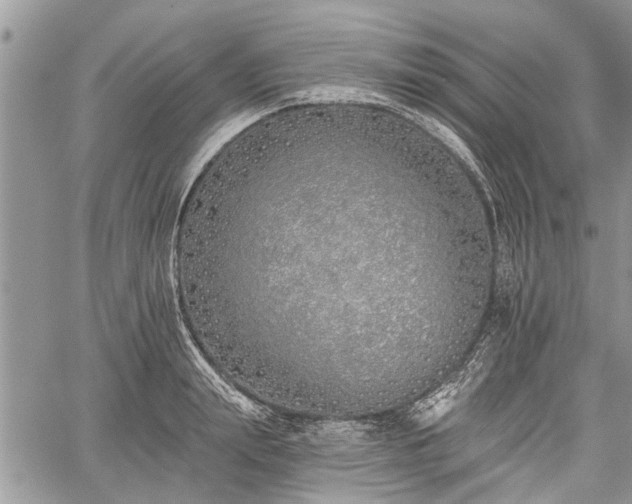 X0000059820847200510241353