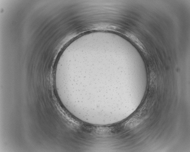 X0000059820848200510241353