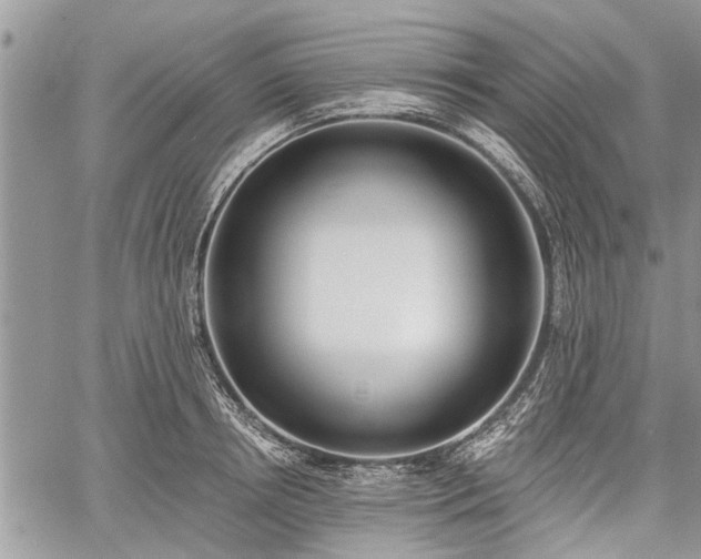 X0000059820850200510241354