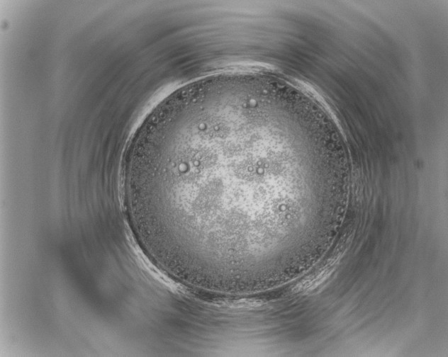 X0000059820851200510241354