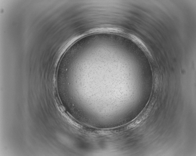 X0000059820852200510241354