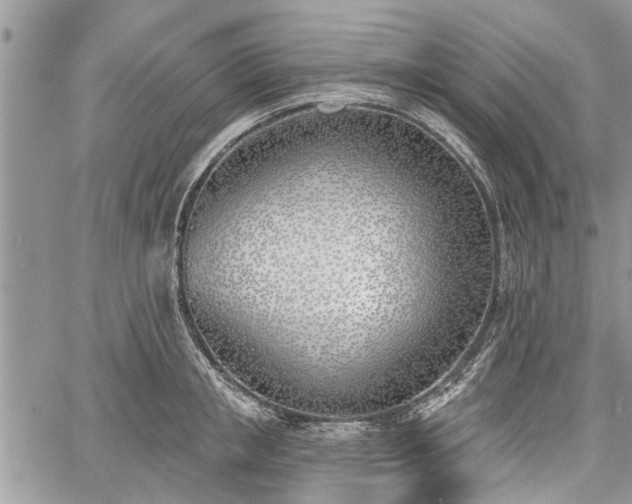 X0000059820853200510241354