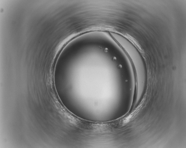 X0000059820854200510241354