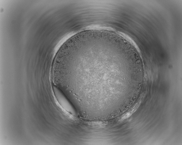 X0000059820855200510241354