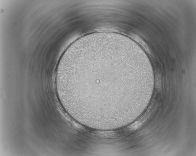 X0000059820856200510241354