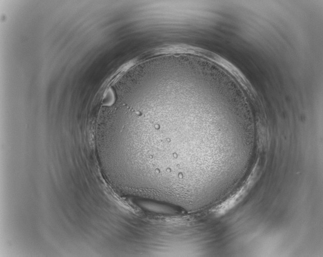 X0000059820857200510241354