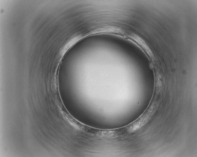 X0000059820858200510241354