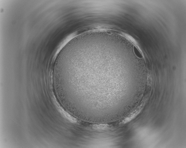 X0000059820859200510241354