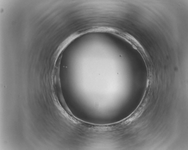 X0000059820860200510241354