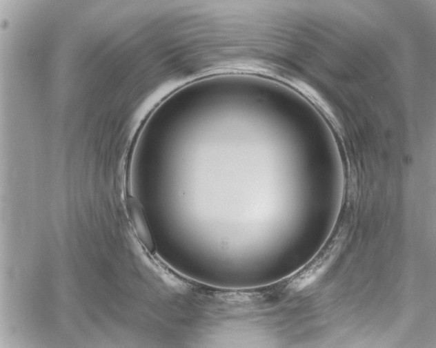 X0000059820862200510241354