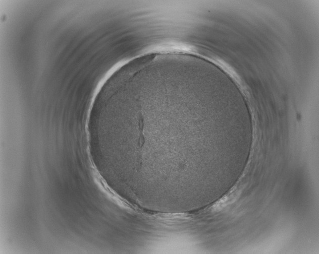 X0000059820864200510241354