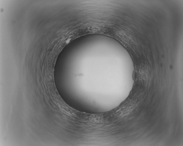 X0000059820865200510241353