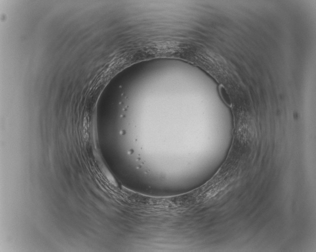 X0000059820866200510241353